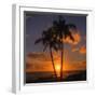 Palm Trees and Setting Sun (Square), Kauai Hawaii-Vincent James-Framed Photographic Print