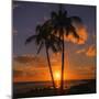 Palm Trees and Setting Sun (Square), Kauai Hawaii-Vincent James-Mounted Photographic Print