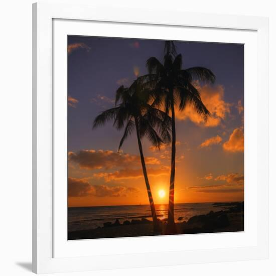 Palm Trees and Setting Sun (Square), Kauai Hawaii-Vincent James-Framed Photographic Print