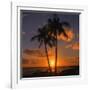 Palm Trees and Setting Sun (Square), Kauai Hawaii-Vincent James-Framed Photographic Print