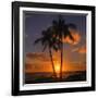 Palm Trees and Setting Sun (Square), Kauai Hawaii-Vincent James-Framed Photographic Print