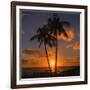 Palm Trees and Setting Sun (Square), Kauai Hawaii-Vincent James-Framed Photographic Print