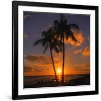 Palm Trees and Setting Sun (Square), Kauai Hawaii-Vincent James-Framed Photographic Print