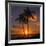 Palm Trees and Setting Sun (Square), Kauai Hawaii-Vincent James-Framed Photographic Print