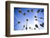 Palm Trees and Sky in Santa Barbara California-Bennett Barthelemy-Framed Photographic Print