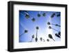 Palm Trees and Sky in Santa Barbara California-Bennett Barthelemy-Framed Photographic Print