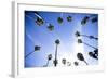 Palm Trees and Sky in Santa Barbara California-Bennett Barthelemy-Framed Photographic Print