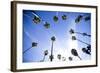 Palm Trees and Sky in Santa Barbara California-Bennett Barthelemy-Framed Photographic Print