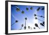 Palm Trees and Sky in Santa Barbara California-Bennett Barthelemy-Framed Photographic Print
