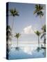 Palm Trees and Swimming Pool, Ko Chang, Kho Chang Island, Thailand-Gavriel Jecan-Stretched Canvas