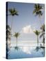 Palm Trees and Swimming Pool, Ko Chang, Kho Chang Island, Thailand-Gavriel Jecan-Stretched Canvas