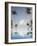 Palm Trees and Swimming Pool, Ko Chang, Kho Chang Island, Thailand-Gavriel Jecan-Framed Photographic Print