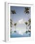 Palm Trees and Swimming Pool, Ko Chang, Kho Chang Island, Thailand-Gavriel Jecan-Framed Photographic Print