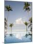 Palm Trees and Swimming Pool, Ko Chang, Kho Chang Island, Thailand-Gavriel Jecan-Mounted Photographic Print
