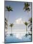 Palm Trees and Swimming Pool, Ko Chang, Kho Chang Island, Thailand-Gavriel Jecan-Mounted Photographic Print