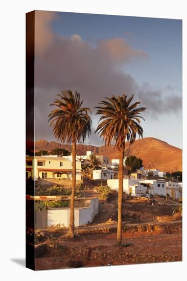 Palm Trees and the White Village of Toto at Sunset, Fuerteventura, Canary Islands, Spain, Europe-Markus Lange-Stretched Canvas