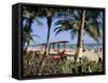 Palm Trees and Tourists, Bakau Beach, the Gambia, West Africa, Africa-J Lightfoot-Framed Stretched Canvas