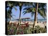 Palm Trees and Tourists, Bakau Beach, the Gambia, West Africa, Africa-J Lightfoot-Stretched Canvas