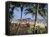 Palm Trees and Tourists, Bakau Beach, the Gambia, West Africa, Africa-J Lightfoot-Framed Stretched Canvas