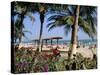 Palm Trees and Tourists, Bakau Beach, the Gambia, West Africa, Africa-J Lightfoot-Stretched Canvas