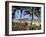 Palm Trees and Tourists, Bakau Beach, the Gambia, West Africa, Africa-J Lightfoot-Framed Photographic Print