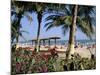 Palm Trees and Tourists, Bakau Beach, the Gambia, West Africa, Africa-J Lightfoot-Mounted Photographic Print