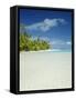Palm Trees and Tropical Beach, Aitutaki Island, Cook Islands, Polynesia-Steve Vidler-Framed Stretched Canvas