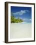 Palm Trees and Tropical Beach, Aitutaki Island, Cook Islands, Polynesia-Steve Vidler-Framed Photographic Print