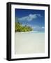 Palm Trees and Tropical Beach, Aitutaki Island, Cook Islands, Polynesia-Steve Vidler-Framed Photographic Print