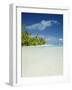 Palm Trees and Tropical Beach, Aitutaki Island, Cook Islands, Polynesia-Steve Vidler-Framed Photographic Print