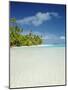 Palm Trees and Tropical Beach, Aitutaki Island, Cook Islands, Polynesia-Steve Vidler-Mounted Photographic Print