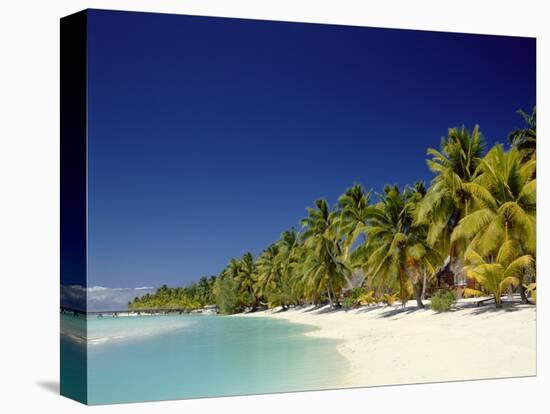 Palm Trees and Tropical Beach, Aitutaki Island, Cook Islands, Polynesia-Steve Vidler-Stretched Canvas