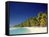 Palm Trees and Tropical Beach, Aitutaki Island, Cook Islands, Polynesia-Steve Vidler-Framed Stretched Canvas