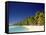 Palm Trees and Tropical Beach, Aitutaki Island, Cook Islands, Polynesia-Steve Vidler-Framed Stretched Canvas