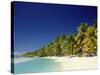 Palm Trees and Tropical Beach, Aitutaki Island, Cook Islands, Polynesia-Steve Vidler-Stretched Canvas