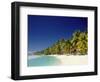 Palm Trees and Tropical Beach, Aitutaki Island, Cook Islands, Polynesia-Steve Vidler-Framed Photographic Print