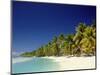 Palm Trees and Tropical Beach, Aitutaki Island, Cook Islands, Polynesia-Steve Vidler-Mounted Photographic Print