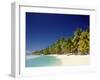 Palm Trees and Tropical Beach, Aitutaki Island, Cook Islands, Polynesia-Steve Vidler-Framed Photographic Print