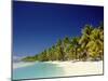 Palm Trees and Tropical Beach, Aitutaki Island, Cook Islands, Polynesia-Steve Vidler-Mounted Photographic Print