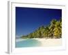 Palm Trees and Tropical Beach, Aitutaki Island, Cook Islands, Polynesia-Steve Vidler-Framed Photographic Print