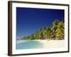 Palm Trees and Tropical Beach, Aitutaki Island, Cook Islands, Polynesia-Steve Vidler-Framed Photographic Print