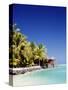 Palm Trees and Tropical Beach, Aitutaki Island, Cook Islands, Polynesia-Steve Vidler-Stretched Canvas