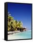 Palm Trees and Tropical Beach, Aitutaki Island, Cook Islands, Polynesia-Steve Vidler-Framed Stretched Canvas