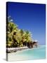 Palm Trees and Tropical Beach, Aitutaki Island, Cook Islands, Polynesia-Steve Vidler-Stretched Canvas