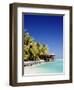 Palm Trees and Tropical Beach, Aitutaki Island, Cook Islands, Polynesia-Steve Vidler-Framed Photographic Print