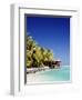 Palm Trees and Tropical Beach, Aitutaki Island, Cook Islands, Polynesia-Steve Vidler-Framed Photographic Print