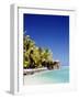 Palm Trees and Tropical Beach, Aitutaki Island, Cook Islands, Polynesia-Steve Vidler-Framed Photographic Print