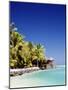 Palm Trees and Tropical Beach, Aitutaki Island, Cook Islands, Polynesia-Steve Vidler-Mounted Photographic Print