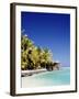 Palm Trees and Tropical Beach, Aitutaki Island, Cook Islands, Polynesia-Steve Vidler-Framed Photographic Print