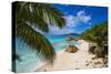 Palm Trees and Tropical Beach, La Digue, Seychelles-Jon Arnold-Stretched Canvas